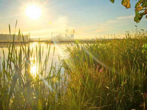 Foto Kegiatan Puskesmas